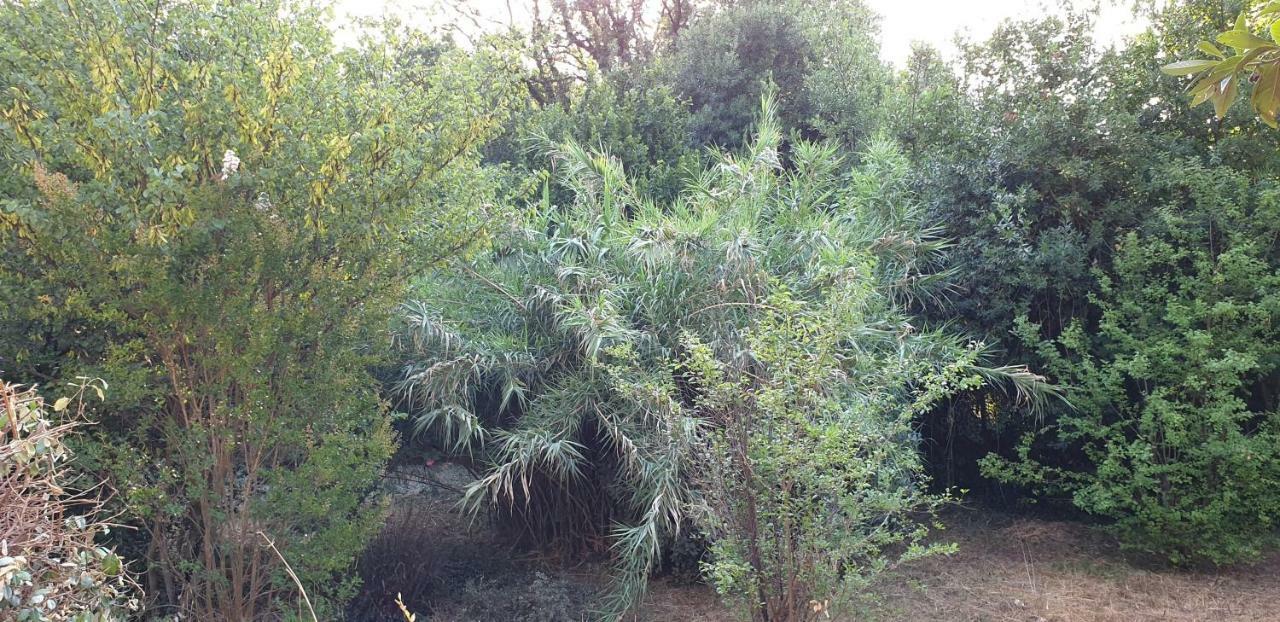 La Teze Villa Le Castellet  Ngoại thất bức ảnh