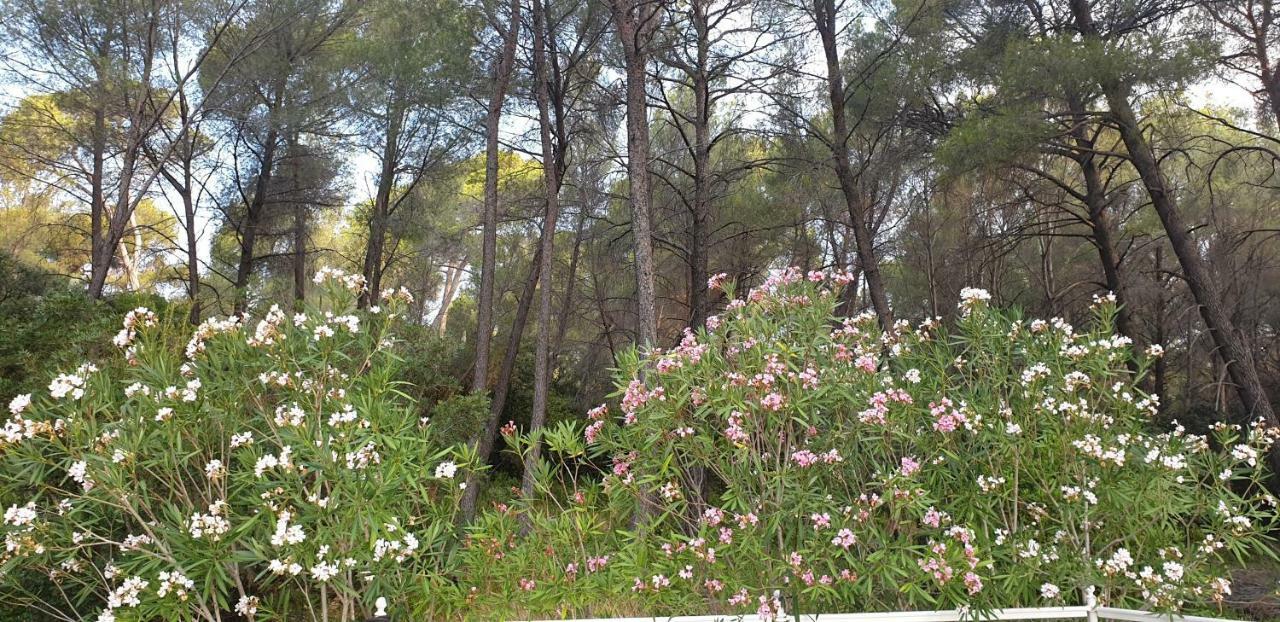 La Teze Villa Le Castellet  Ngoại thất bức ảnh